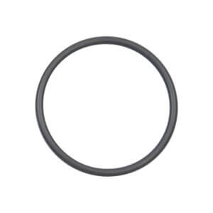 O-ring vacuum interface valve